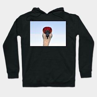 Head shot Hoodie